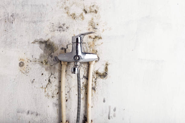 Best Office Mold Removal Services  in Mcconnelsville, OH